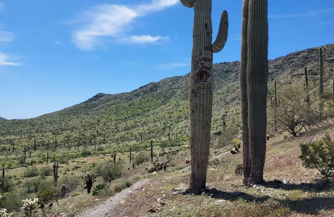 Casa Grande Mountain Overlook