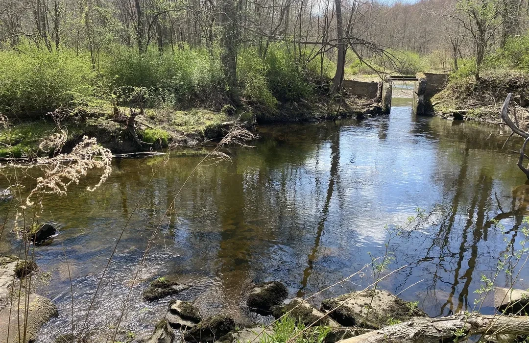 Highland Lakes State Park