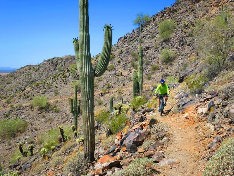 Casa Grande Mountain Trails