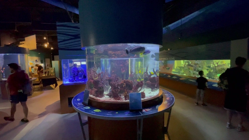 Cox Science Center and Aquarium