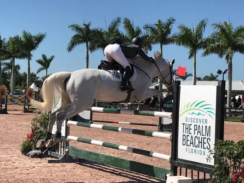 Unleashing Equestrian Elegance: Lake Luxe Equine Retread in Wellington, FL